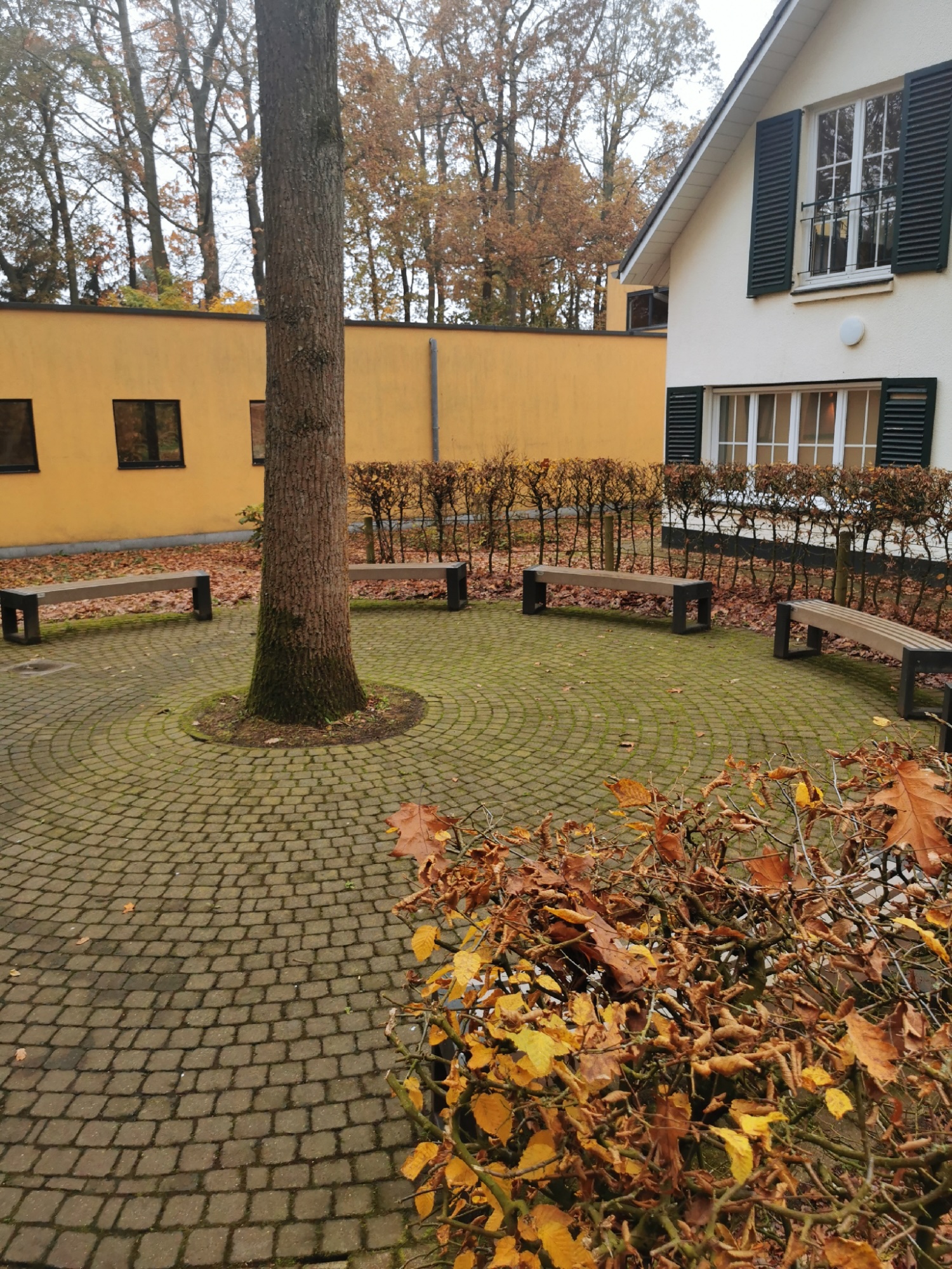 Suske & Wiskemuseum: Een pluim voor de vlotte communicatie en hulp