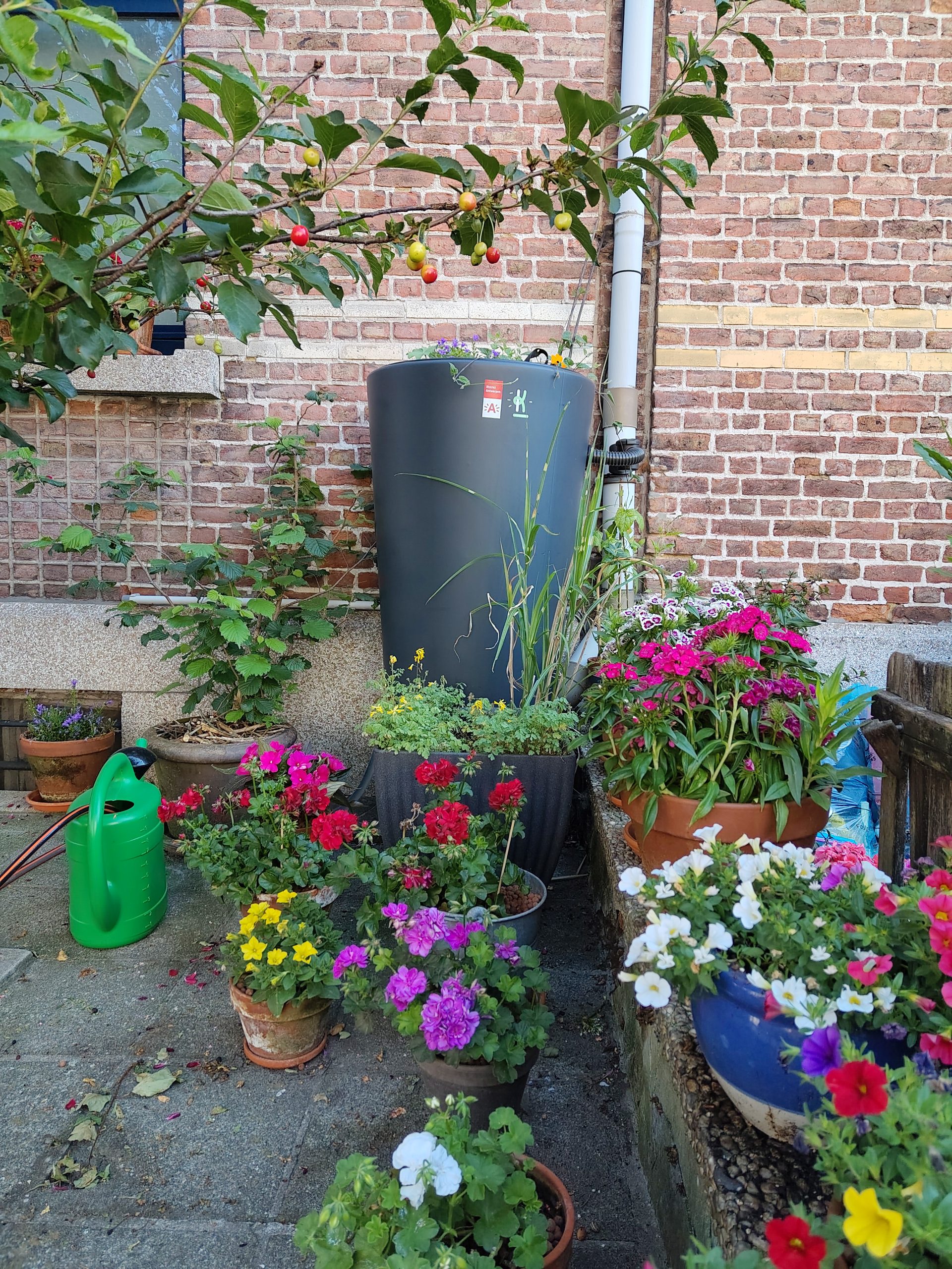 Samen goed voor 95.000 liter extra regenwateropvang in Antwerpen